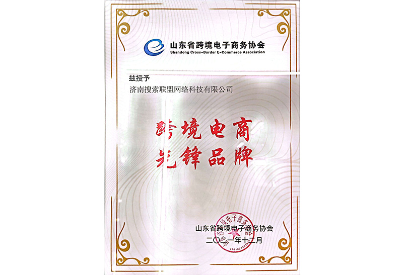 跨境電商先鋒品牌